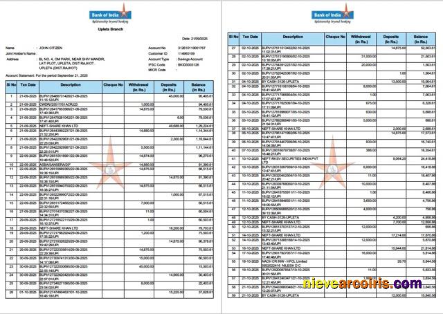India Bank of India account statement Word and PDF, 2 pages